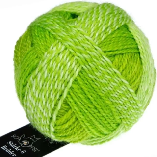 Schoppel Wolle Stärke 6 Brüder 2697 Georg